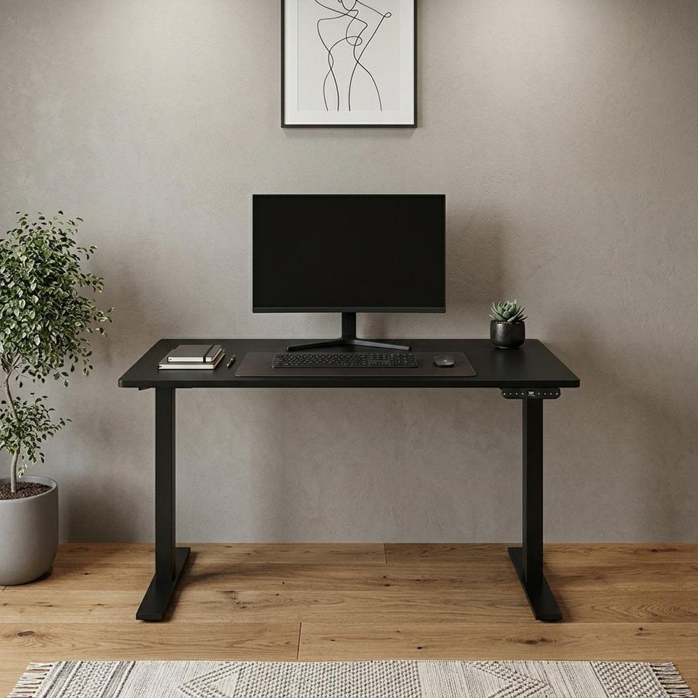 48" Adjustable Black Stainless Steel Standing Desk