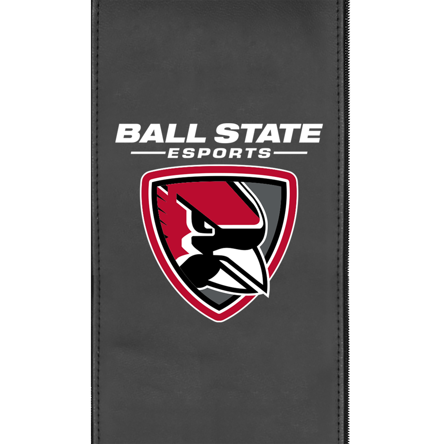 Curve Task Chair with Ball State Esports