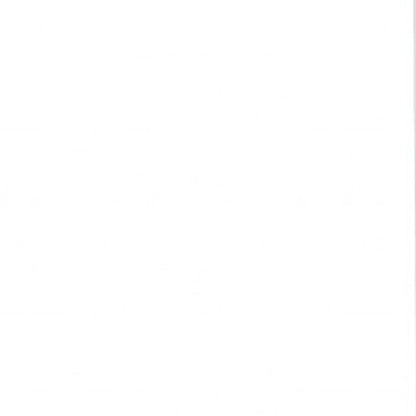 White Wood Twin Canopy Bed Frame