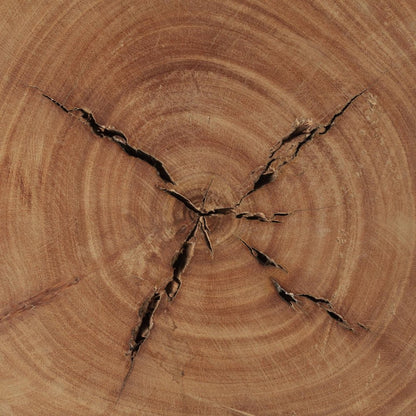 18" Natural And Brown Distressed Reclaimed Wood Round End Table