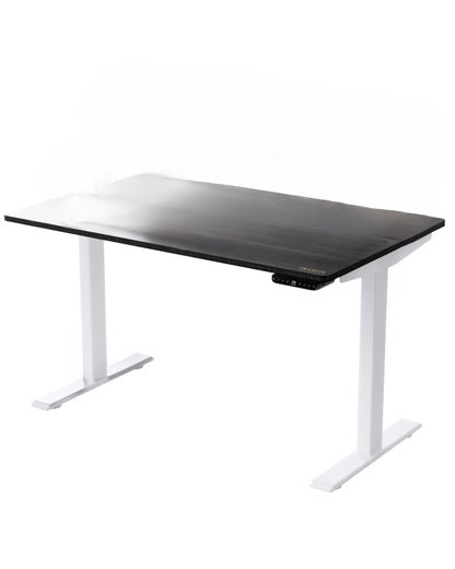 30" Adjustable Black and White Stainless Steel Standing Desk