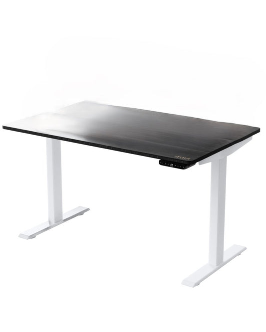 48" Adjustable Black and White Stainless Steel Standing Desk