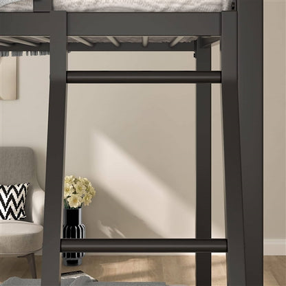 Twin over Twin Modern Metal Bunk Bed Frame in Black Finish with Ladder