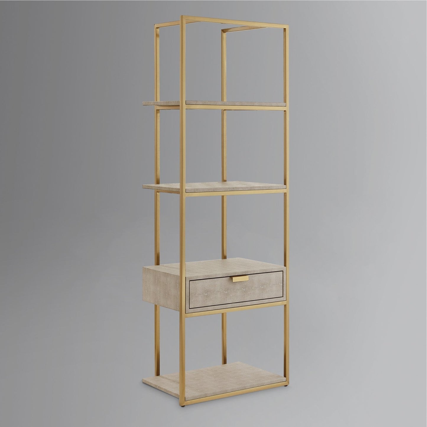 Abdiel Bookshelf